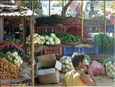 Rajasthan - fruits et légumes