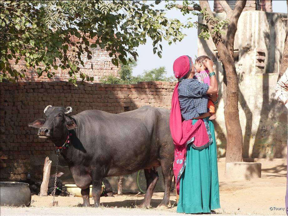 Rajasthan