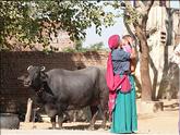 Rajasthan