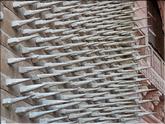 Bikaner- fort Junagarth - porte principale
