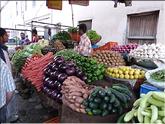 Bikaner - marché