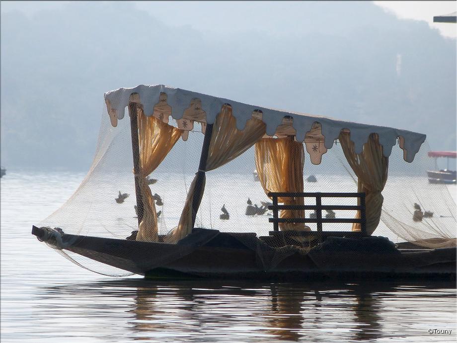 Udaipur - lac pichola
