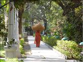 Udaipur - jardin Sahelion Ki Bari