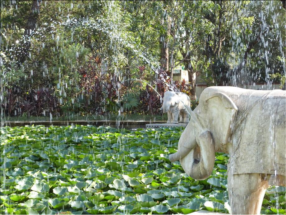 Udaipur - jardin Sahelion Ki Bari