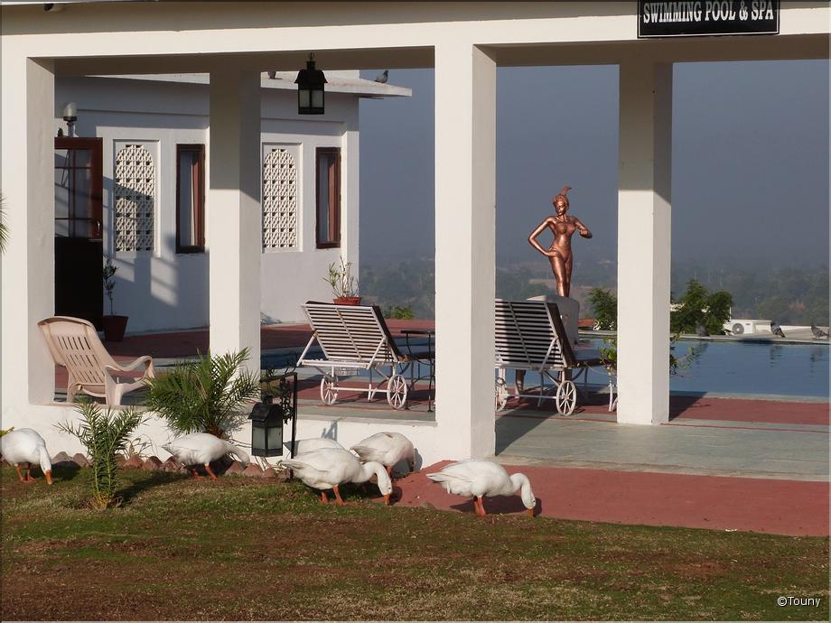 Pushkar - Achrol - hotel Aaram baagh - piscine