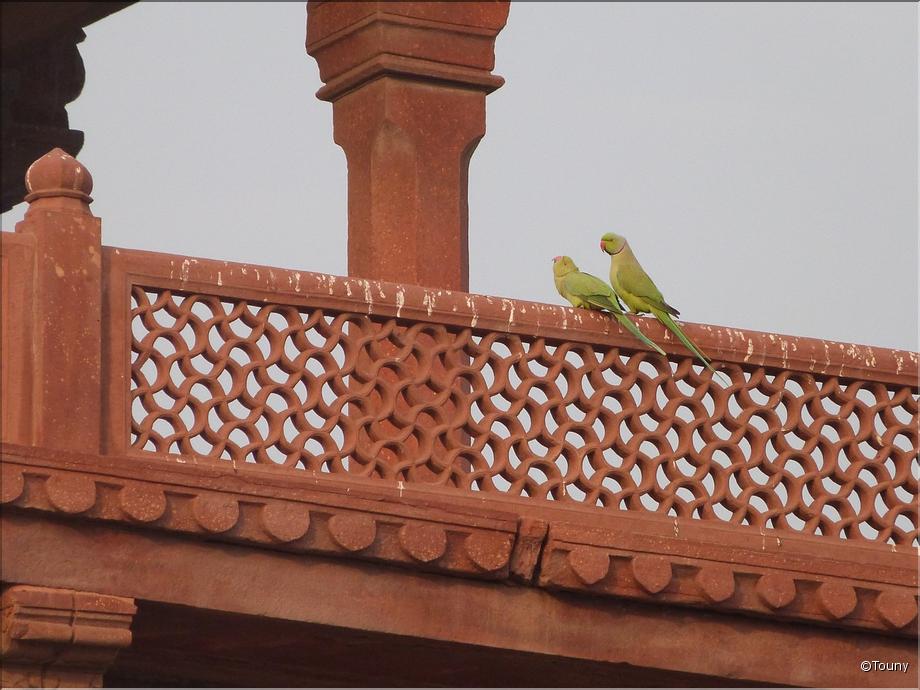 Fatehpur Sikri