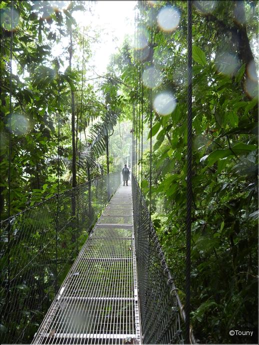 arenal hanging bridges
