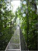 arenal hanging bridges