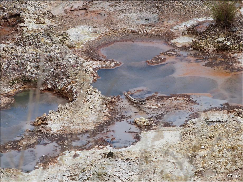 Rincon de la vieja, laguna fumarolica