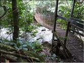 Rincon de la vieja, pont suspendu