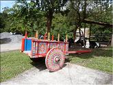 chariot local typique