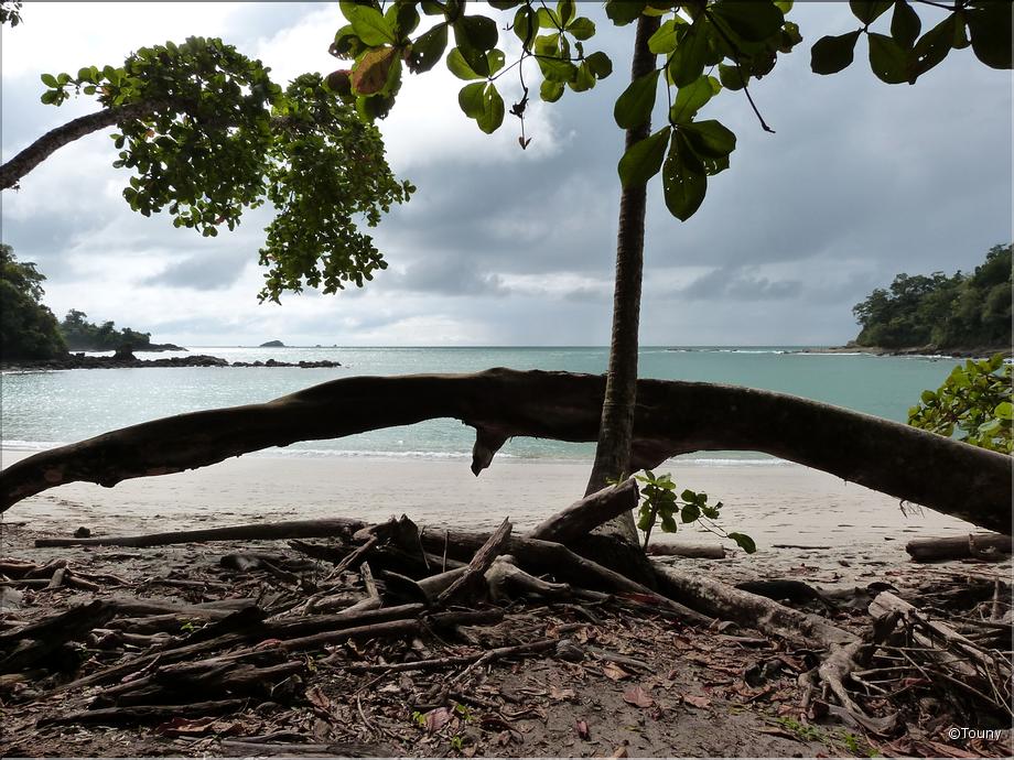 parc Manuel Antonio