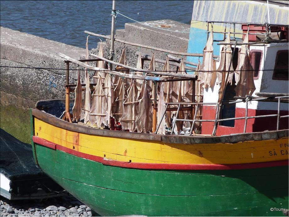 Câmara de lobos - poissons qui sèchent