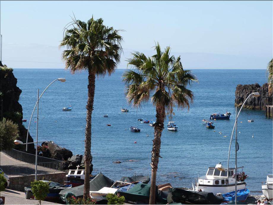 Câmara de lobos - le port