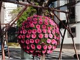 Funchal - fête des fleurs
