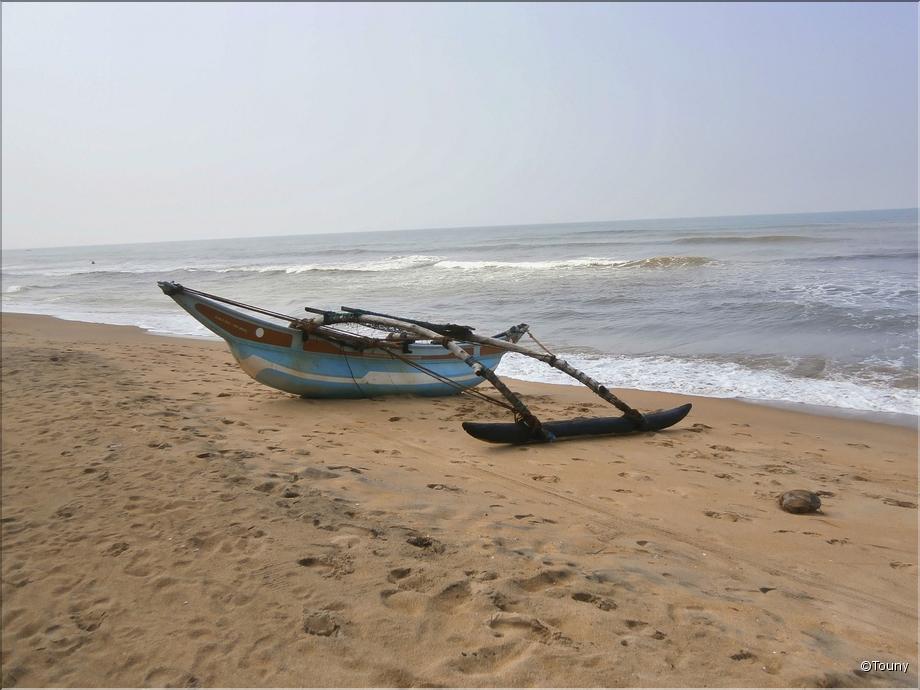 Kalutara - The sand - pirogue