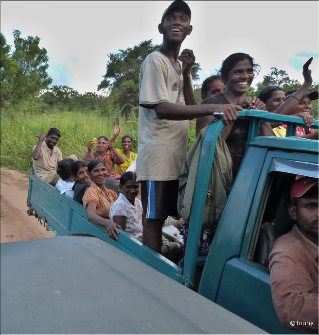 Safari 4x4 dans la réserve de Minneriya