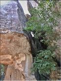 Sigirîya - rocher du lion - cobra hood cave