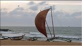 Negombo - pirogues à voile