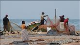 Negombo - pêcheurs et poissons