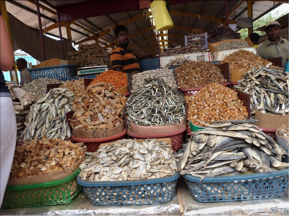 Colombo - marché Pettah - poissons