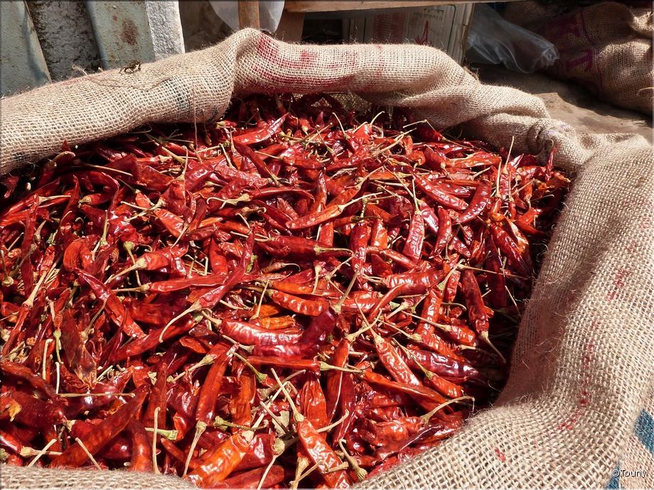 Colombo - marché Pettah - piments rouges