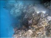 sous l'eau