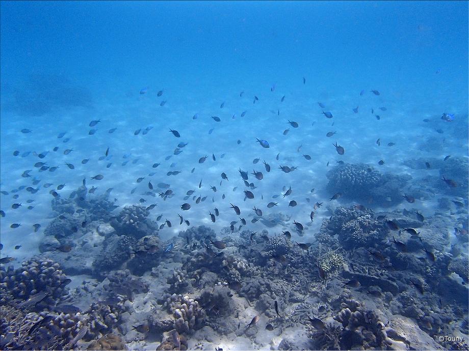 sous l'eau