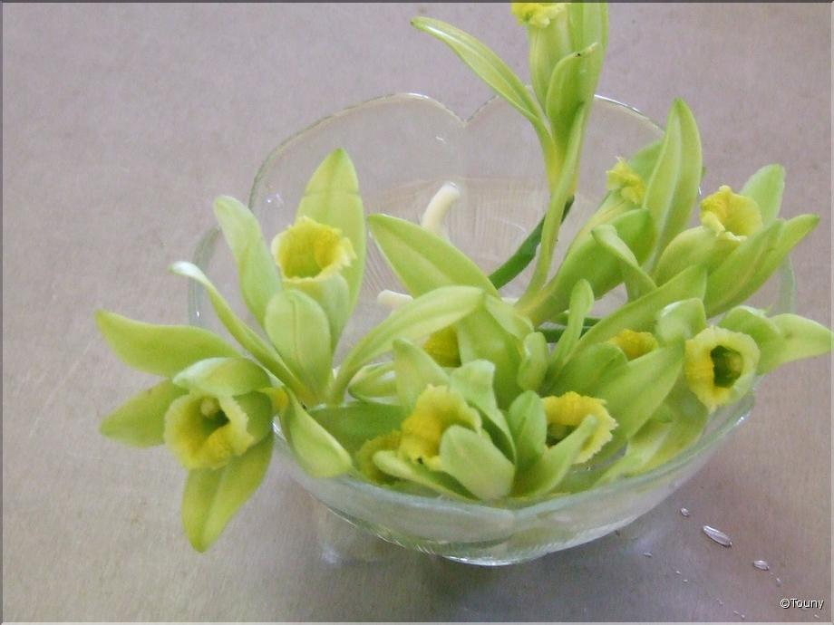 La Réunion - fleurs de vanille