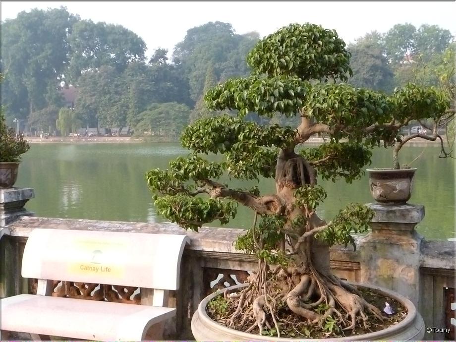 Vietnam - Hanoi temple montagne de jade - Bonza