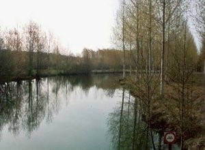 Le Loing  Conflans