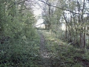 Sentier au perthuis