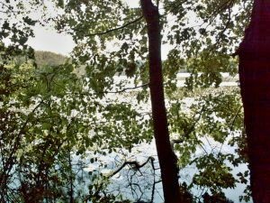 Vers La Selle sur le Bied