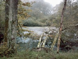 vers Ste genevieve des bois