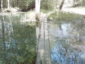 passerelle