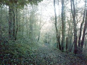 Raidillon du GR